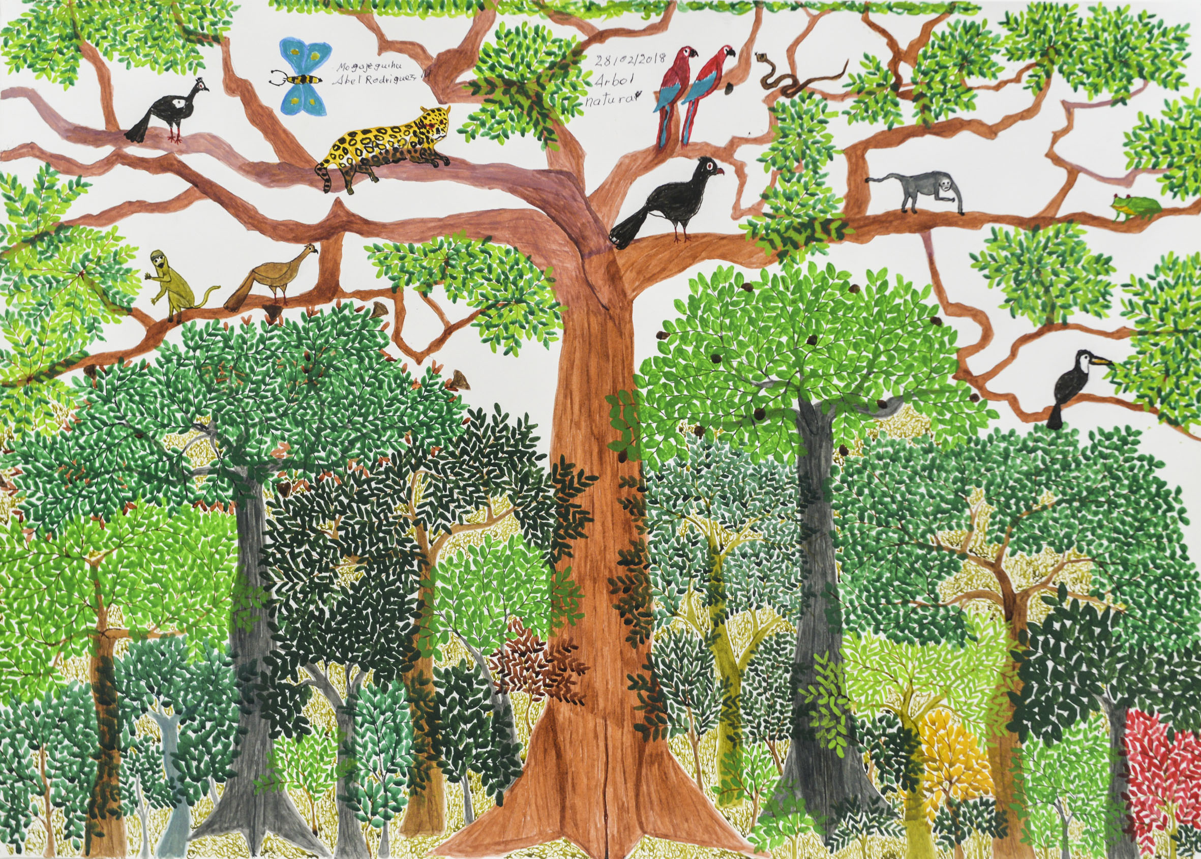 Abel Rodríguez — Mogaje Guihu